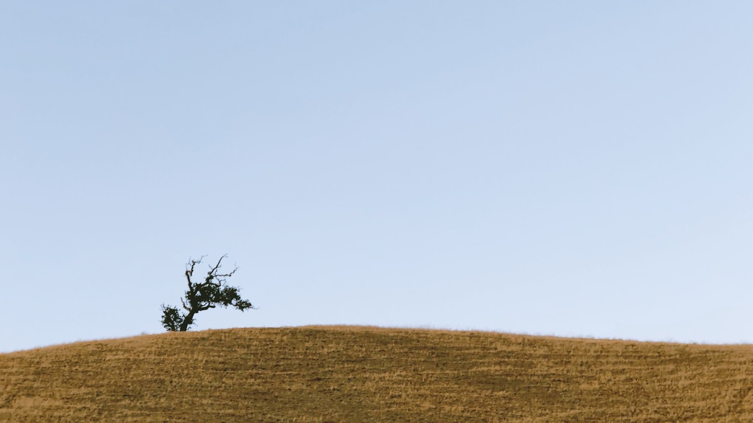 Finding Mental Clarity In A Distracted World