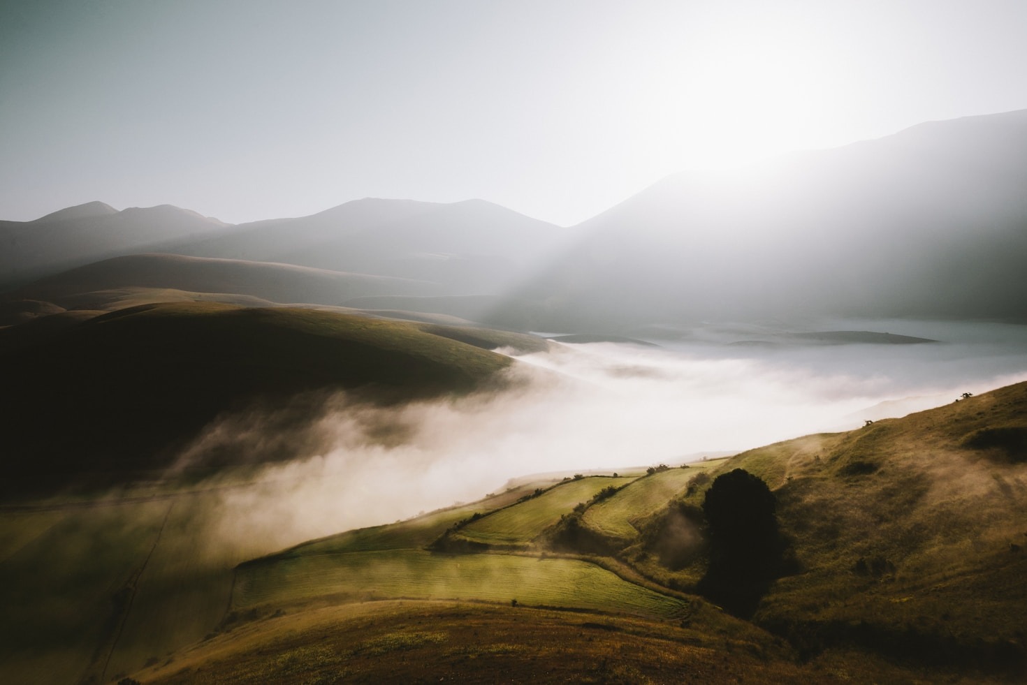 How Nature Refreshes Your Ability To Focus