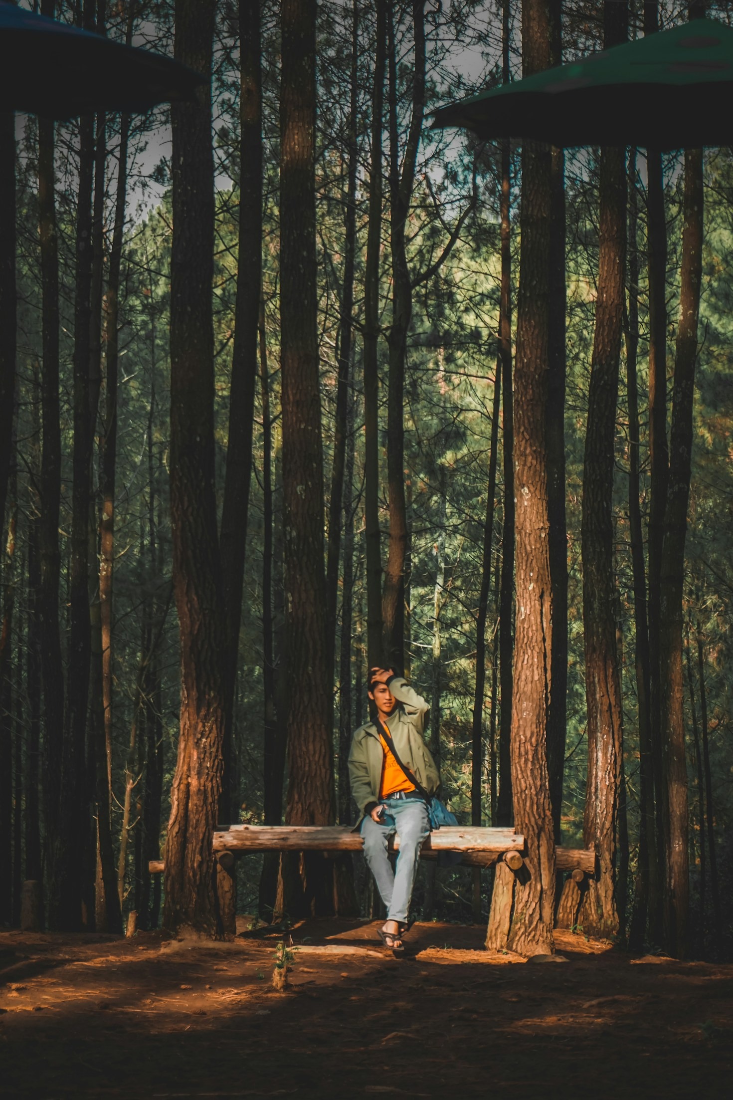 The Subtle Power Of Slow Analytical Reading